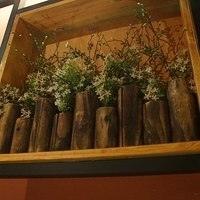 2013.04.05-080.JPG