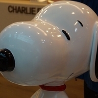 2013.04.05-138.JPG