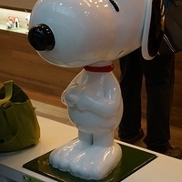 2013.04.05-139.JPG