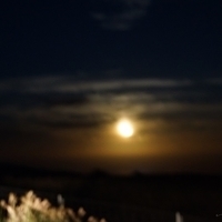 2013.07.21-002.JPG