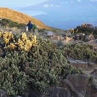 2013.07.21-103.JPG