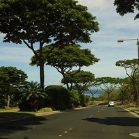 2013.07.21-166.JPG