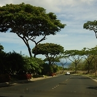 2013.07.21-167.JPG