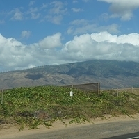 2013.07.20-050.JPG