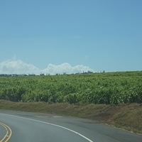 2013.07.20-057.JPG