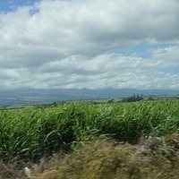 2013.07.20-059.JPG