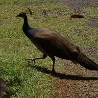 2013.07.20-065.JPG