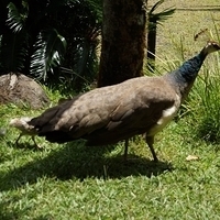 2013.07.20-066.JPG