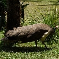 2013.07.20-067.JPG
