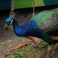 2013.07.20-068.JPG