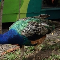 2013.07.20-069.JPG