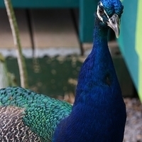 2013.07.20-071.JPG