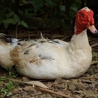 2013.07.20-072.JPG