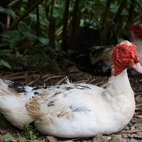 2013.07.20-073.JPG