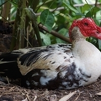 2013.07.20-074.JPG
