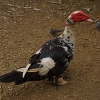 2013.07.20-075.JPG