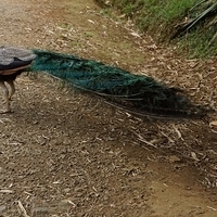 2013.07.20-076.JPG