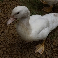 2013.07.20-081.JPG