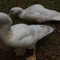 2013.07.20-082.JPG