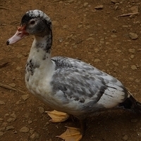 2013.07.20-086.JPG