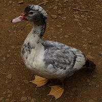 2013.07.20-087.JPG