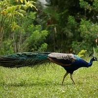 2013.07.20-088.JPG