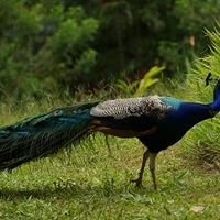 2013.07.20-089.JPG