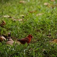 2013.07.20-091.JPG