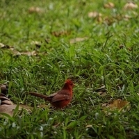 2013.07.20-092.JPG