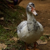 2013.07.20-093.JPG