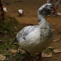 2013.07.20-094.JPG