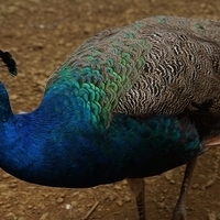 2013.07.20-095.JPG