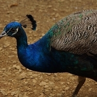 2013.07.20-096.JPG