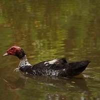 2013.07.20-097.JPG