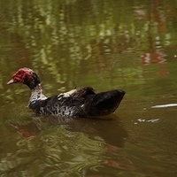 2013.07.20-098.JPG