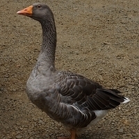 2013.07.20-099.JPG