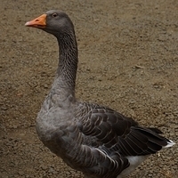 2013.07.20-100.JPG