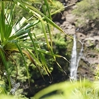 2013.07.20-114.JPG