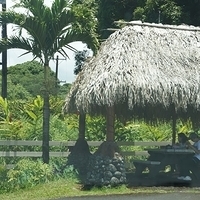 2013.07.20-157.JPG