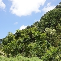 2013.07.20-173.JPG