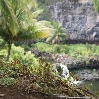 2013.07.20-264.JPG