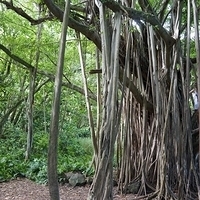 2013.07.20-265.JPG