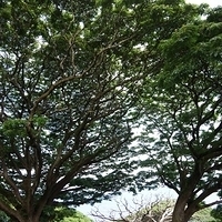 2013.07.20-269.JPG