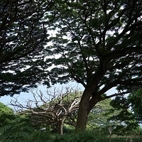 2013.07.20-270.JPG