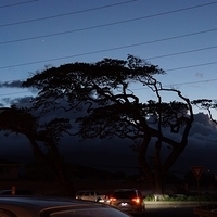 2013.07.19-103.JPG