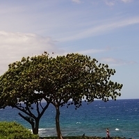 2013.07.21-175.JPG
