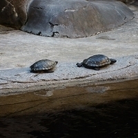 2013.07.22-306.JPG