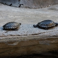 2013.07.22-307.JPG