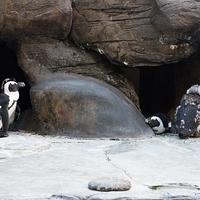 2013.07.22-309.JPG