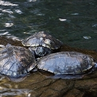 2013.07.22-311.JPG